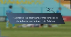 Hakimis bidrag: Framgångar med landslaget, Utmärkande prestationer, Utmärkelser
