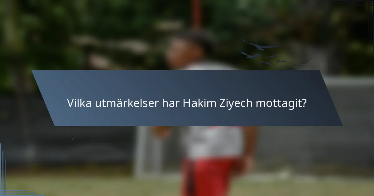 Vilka utmärkelser har Hakim Ziyech mottagit?