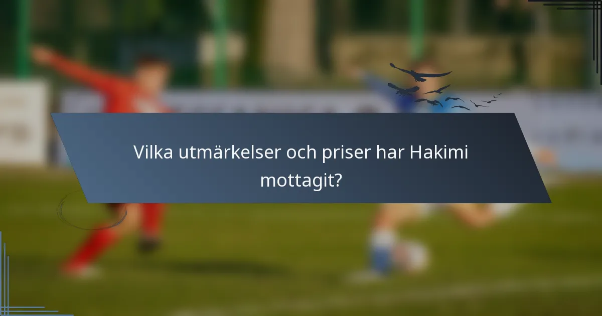Vilka utmärkelser och priser har Hakimi mottagit?